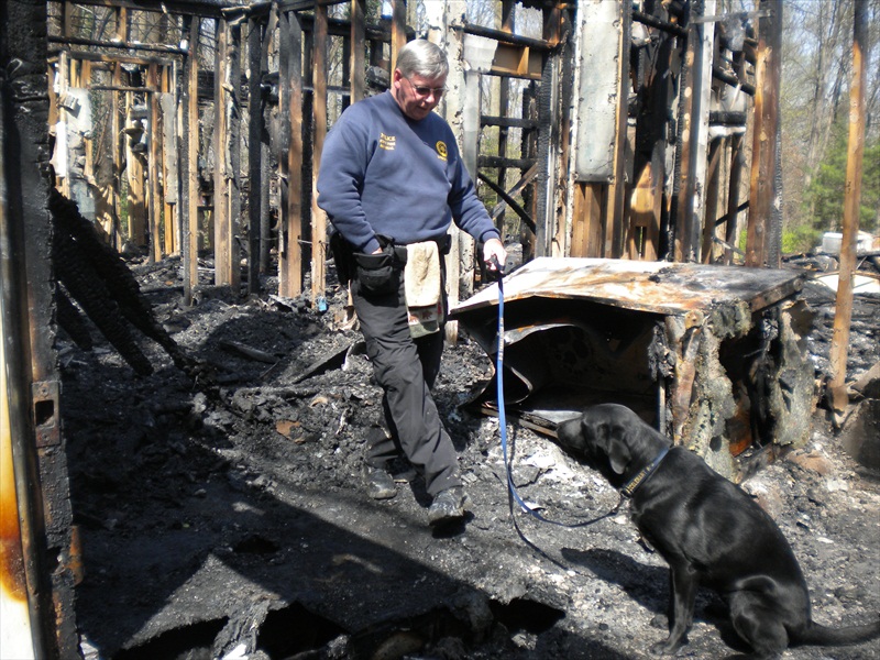 K9 investigating the scene of a fire