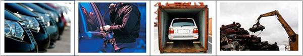 Pictures of a male stealing a car, fleet of cars, car being put into storage container and scrap metal yard full of junk cars.